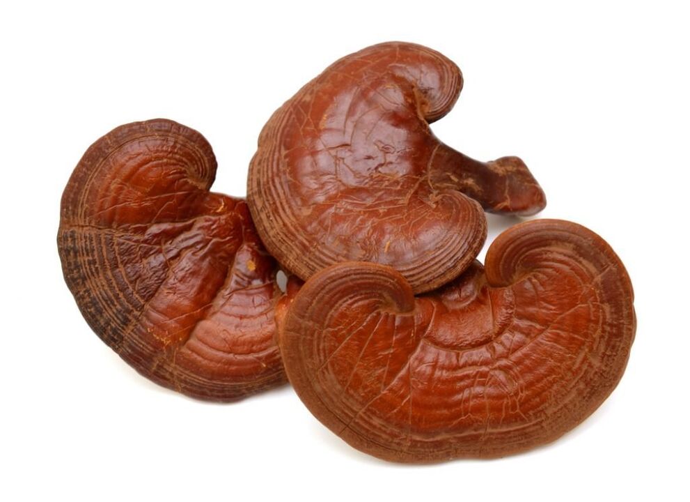 Reishi mushroom Prostamine capsule